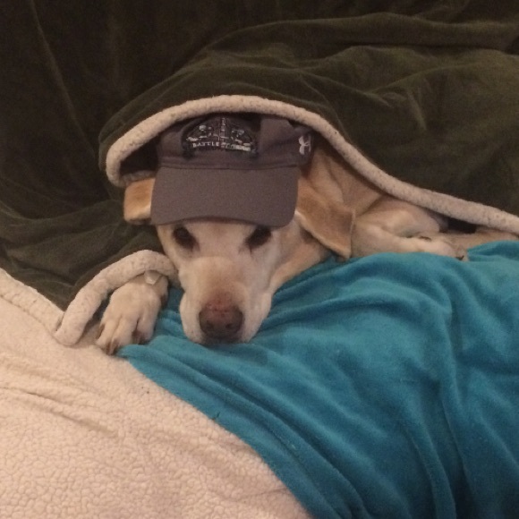 Meet your Posher, Ahna - Picture 1 of 1